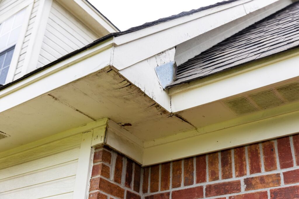 what is fascia on a house damaged paint mold